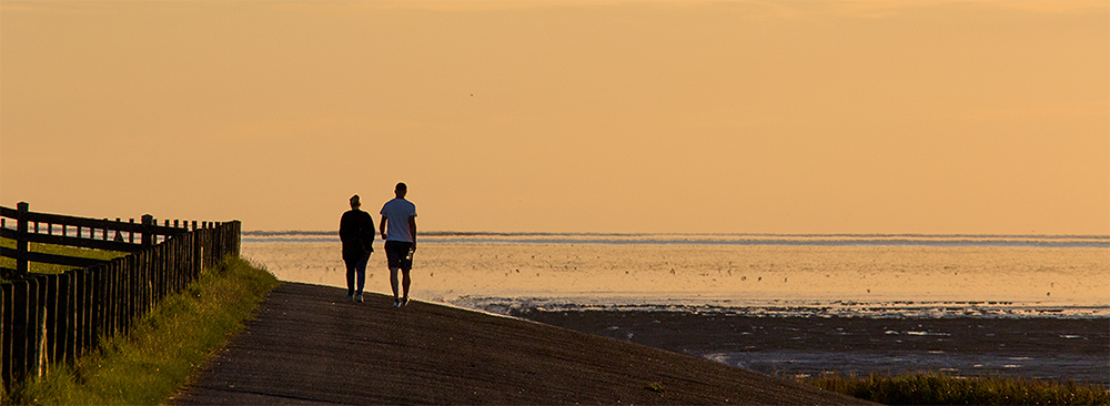 Afbeelding wandelen langs waddenzeedijk